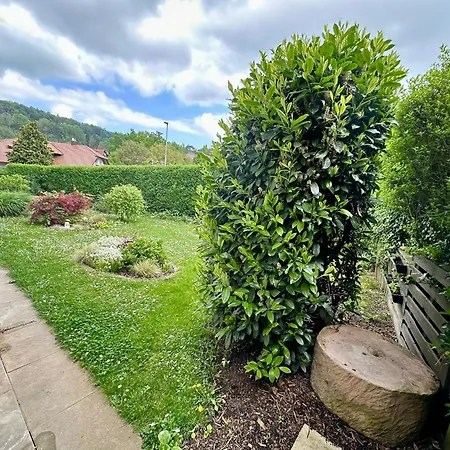 Schoene Mit Grossem Garten 史塔卡赫