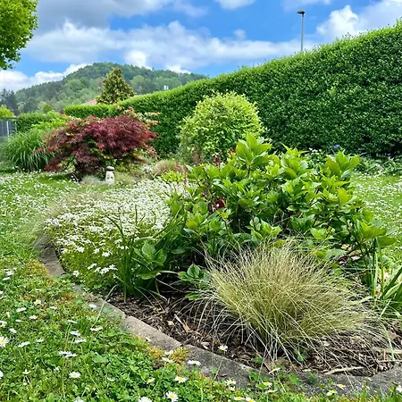 公寓 Schoene Mit Grossem Garten